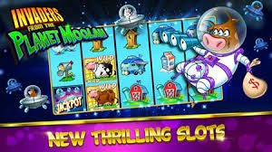 Ilustrasi pengguna bermain sportsbook dan live casino di prima77